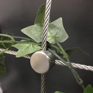 kruisklem - Groene gevels