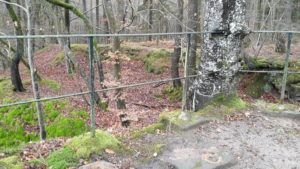 bestaande balustrades voor kabelnet in het bos