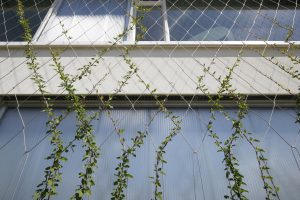 Klimhulpsystemen - Carl Stahl Green Walls