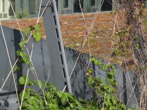 Carl Stahl Architectuur groene gevels