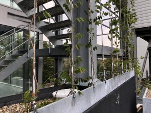 Carl Stahl Architectuur