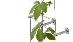 Hoofdafbeelding-groene-gevel-Carl Stahl Green Walls - 1024x576-1[62]