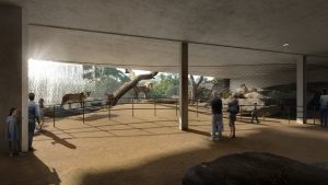 Artis leeuwenverblijf - met kabelnetten van Carl Stahl