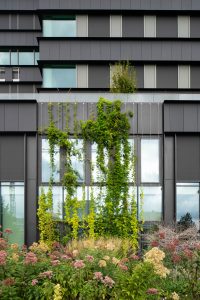 Max & Moore Amsterdam - Spankabels groene gevel - Carl Stahl Green Walls - ©egbertdeboer.com LR20230829-03367