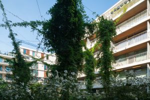Overhoeks Amsterdam - Spankabel systeem - Carl Stahl Green Walls - ©egbertdeboer.com LR20230908-04587