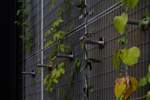 Afstandhouders met spankabel als klimhulp - Carl Stahl Green Walls - ©egbertdeboer.com LR20230829-8967